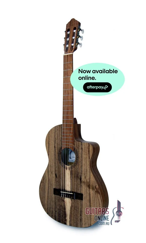 ギター Di Pinto DiPinto Guitars